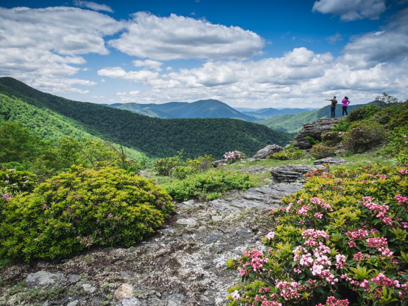 Bluff Mountain Nature Preserve